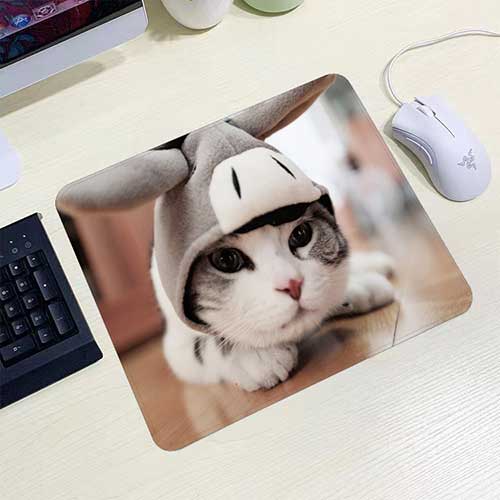 แผ่นรองเม้าส์